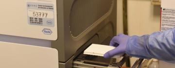 Ya se realizan análisis para el diagnóstico de coronavirus en el laboratorio del Cemar