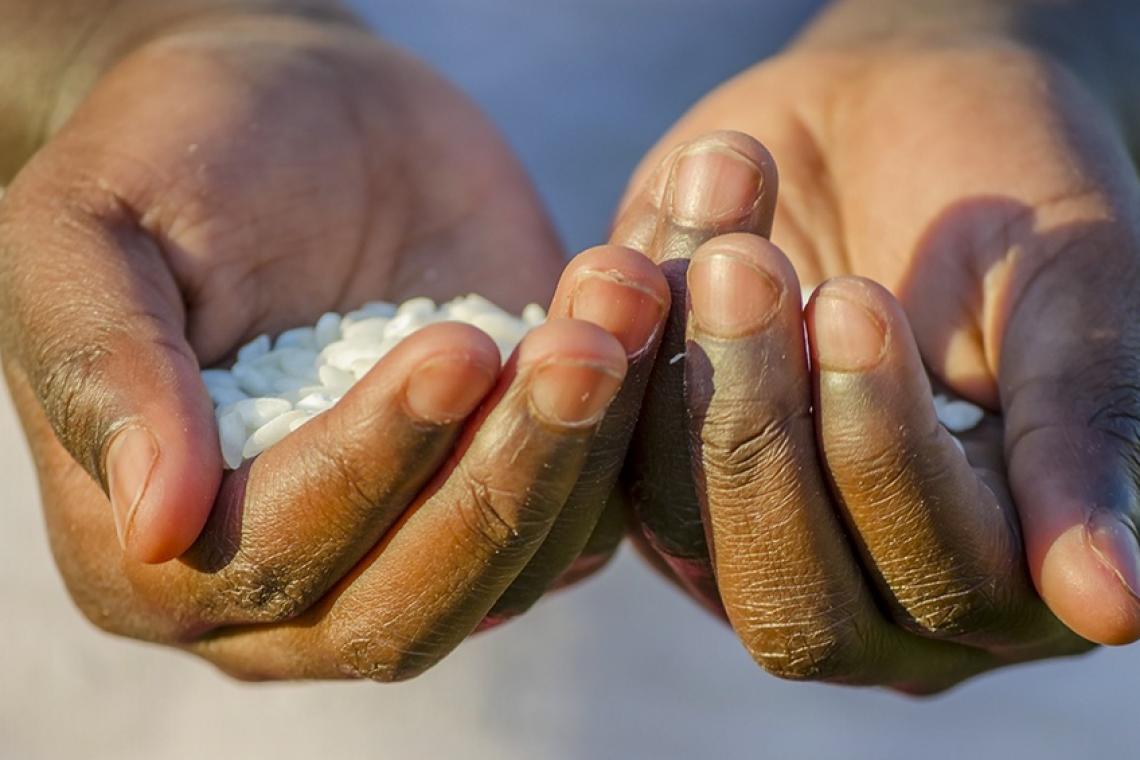 La FAO advierte que en 2030 habrá 67 millones de personas con hambre en América Latina