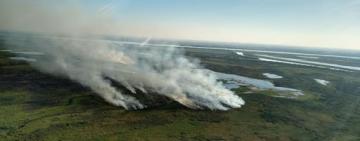 Ambientalistas estudian el impacto ecológico que provoca el fuego en las islas