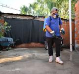 Mejor prevenir que curar: cómo evitar la aparición del mosquito transmisor de dengue