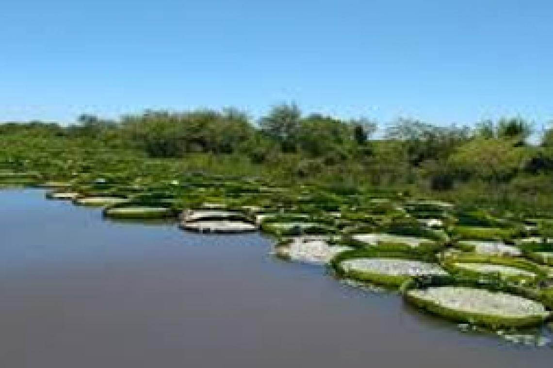 LA PROVINCIA DE SANTA FE AUTORIZÓ LA VUELTA PROGRESIVA DEL TURISMO INTERNO