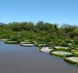 LA PROVINCIA DE SANTA FE AUTORIZÓ LA VUELTA PROGRESIVA DEL TURISMO INTERNO