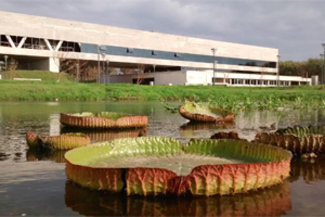 RECLAMAN LA REAPERTURA DEL ACUARIO DEL RÍO PARANÁ