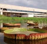 RECLAMAN LA REAPERTURA DEL ACUARIO DEL RÍO PARANÁ