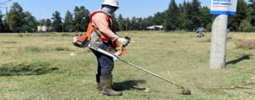 Baldíos descuidados: la Municipalidad aplica multas, los limpia y les cobra la tarea a propietarios