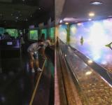CIENTOS DE FAMILIAS ACOMPAÑARON LA REAPERTURA DEL ACUARIO DEL RÍO PARANÁ