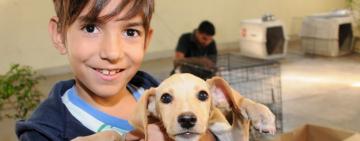 El Imusa refuerza su campaña de adopción permanente y brinda recomendaciones para las fiestas