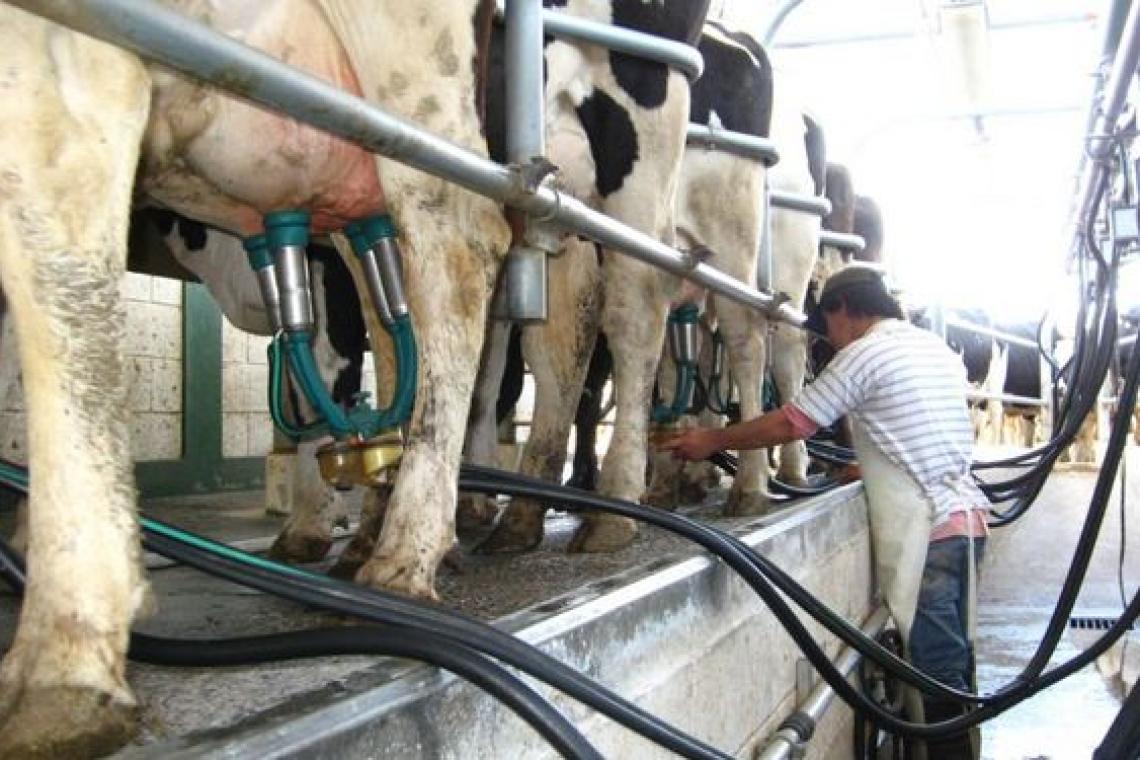 SANTA FE Y CÓRDOBA ESTABLECIERON UNA AGENDA DE TRABAJO CONJUNTA PARA LA LECHERÍA