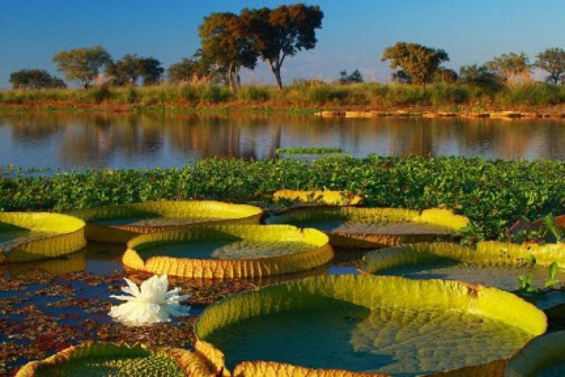 SANTA FE SE POSICIONÓ COMO DESTINO TURÍSTICO NACIONAL