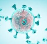 CORONAVIRUS: EL MINISTERIO DE SALUD INFORMÓ LA PRESENCIA DE LAS CEPAS DE MANAOS Y REINO UNIDO EN LA PROVINCIA