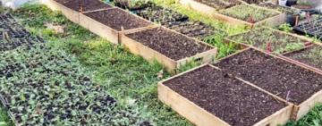 El municipio suma iniciativas para fortalecer la producción agroecológica en la ciudad