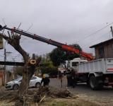 Distrito Oeste: Nuevo operativo barrial concluyó con importantes mejoras para Villa Urquiza