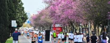 Una multitud corrió en Rosario y pintó la ciudad de celeste y blanco