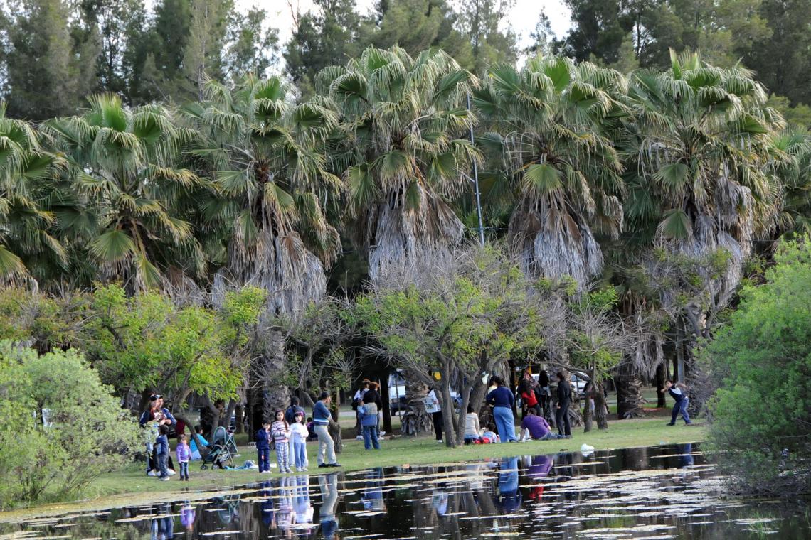 El Bosque de los Constituyentes recibe la primavera con un abanico de actividades ambientales