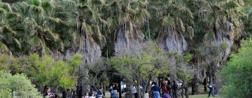 El Bosque de los Constituyentes recibe la primavera con un abanico de actividades ambientales