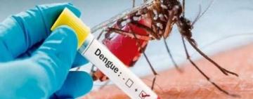 Con la llegada de la primavera el municipio recuerda medidas para prevenir el dengue