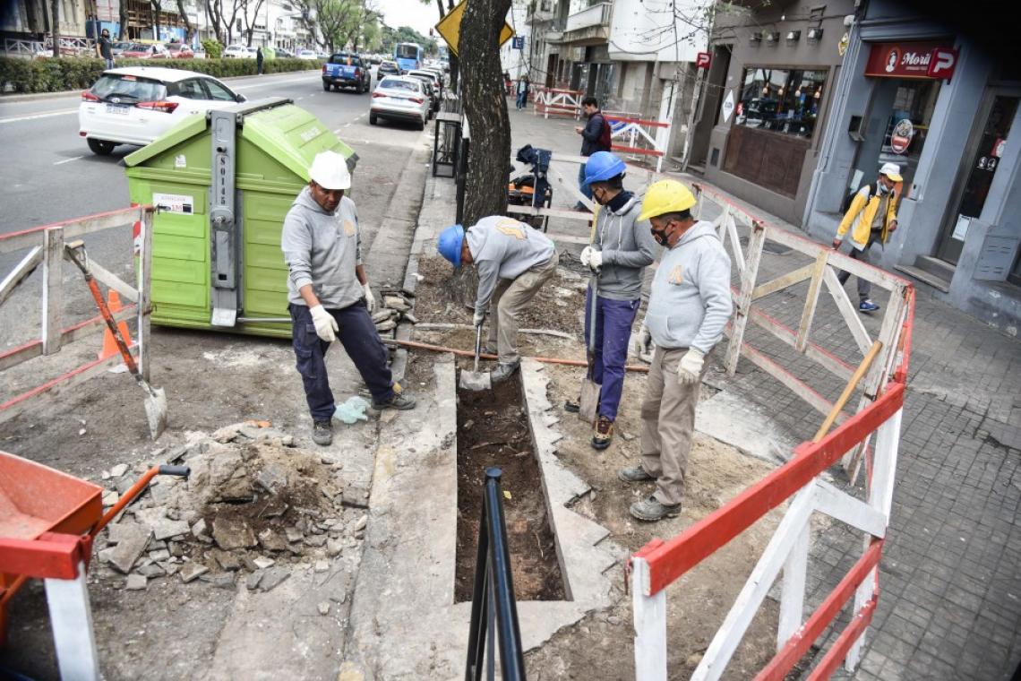 El municipio inició un intenso plan de reparación de veredas en las zonas más transitadas por peatones