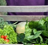 Rosario celebra la Semana de la Agricultura Urbana