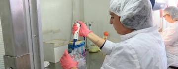 La provincia becará a científicas santafesinas para que se capaciten en el país y en el exterior