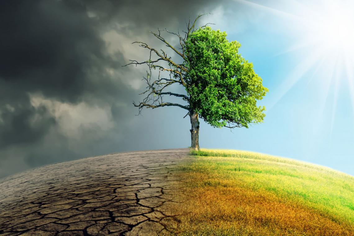 El Municipio abre la convocatoria para participar de la Feria de Ideas para la Acción Climática
