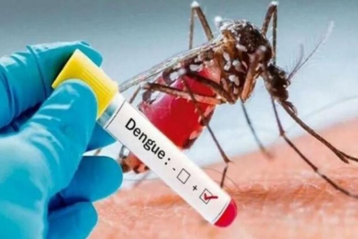 El municipio inició los operativos de prevención del dengue