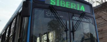 El transporte urbano de pasajeros retomó su recorrido habitual por calle San Luis