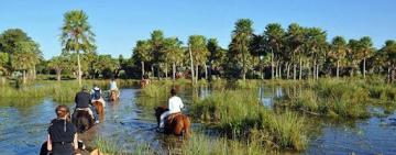 Rosario adhiere al Día Mundial del Agua