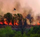 REUNIÓN INTERPROVINCIAL SANTA FE-ENTRE RÍOS POR INCENDIOS DELTA DEL PARANÁ