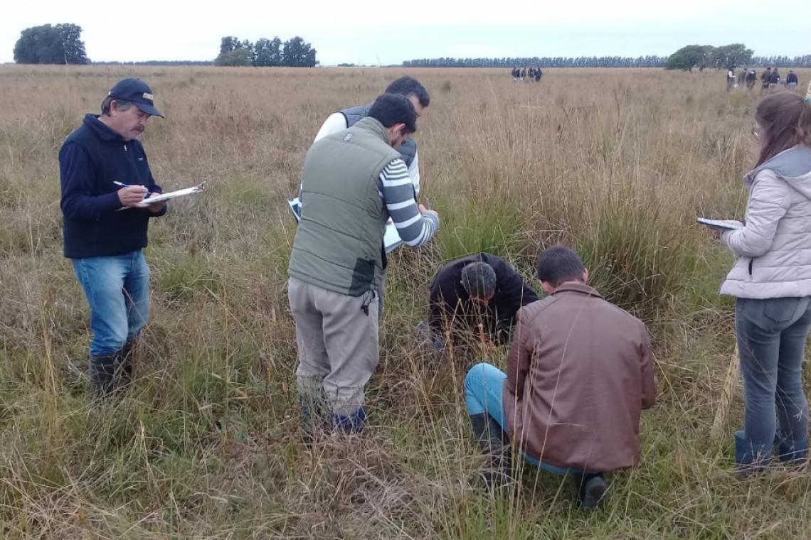 PROGRAMA CARNES SANTAFESINAS 2030: LA PROVINCIA DICTÓ UNA CAPACITACIÓN EN PLANIFICACIÓN FORRAJERA PARA ASESORES TÉCNICOS