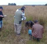 PROGRAMA CARNES SANTAFESINAS 2030: LA PROVINCIA DICTÓ UNA CAPACITACIÓN EN PLANIFICACIÓN FORRAJERA PARA ASESORES TÉCNICOS