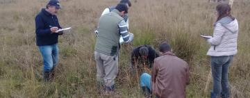 PROGRAMA CARNES SANTAFESINAS 2030: LA PROVINCIA DICTÓ UNA CAPACITACIÓN EN PLANIFICACIÓN FORRAJERA PARA ASESORES TÉCNICOS