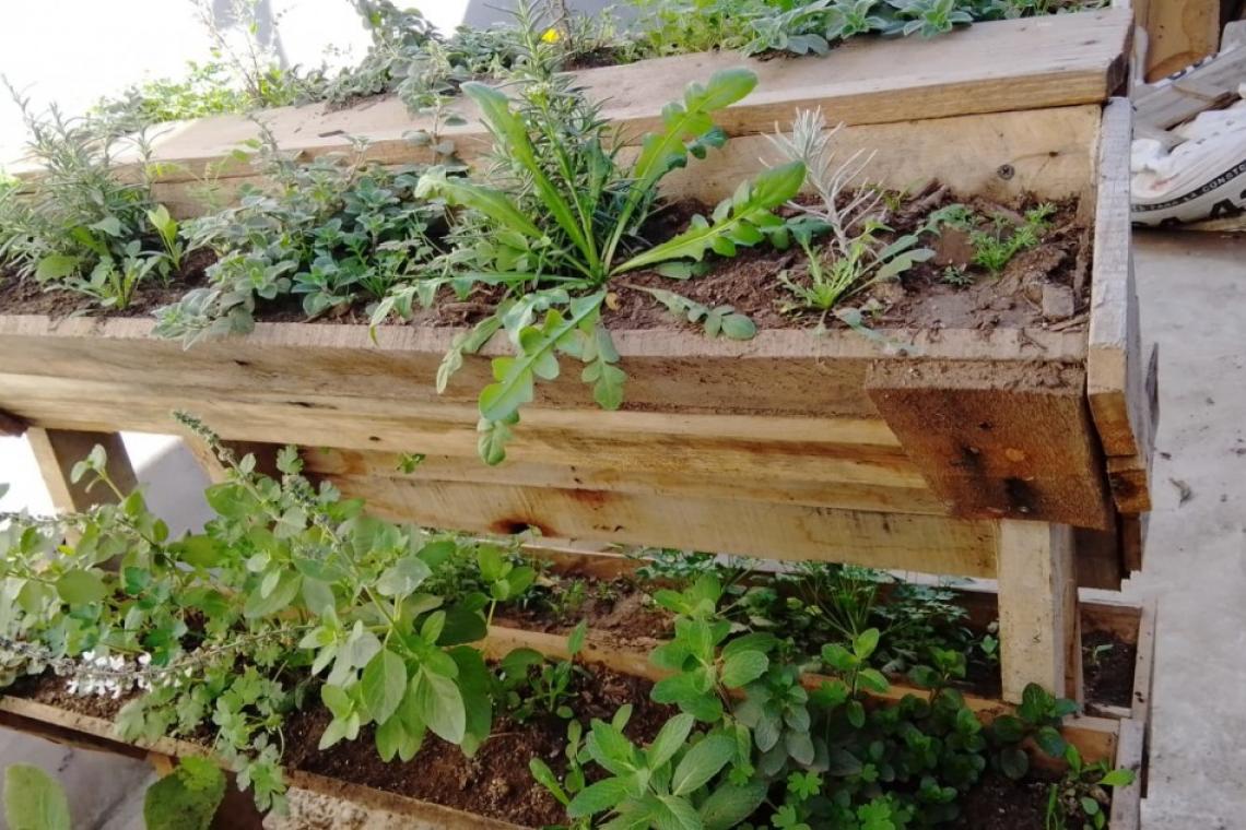 Huertas de Bolsillo: producir alimentos en espacios reducidos ayuda al medioambiente