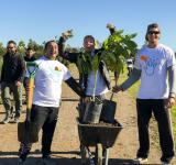 El Municipio convoca a voluntarias y voluntarios para plantar árboles en el Bosque de los Constituyentes