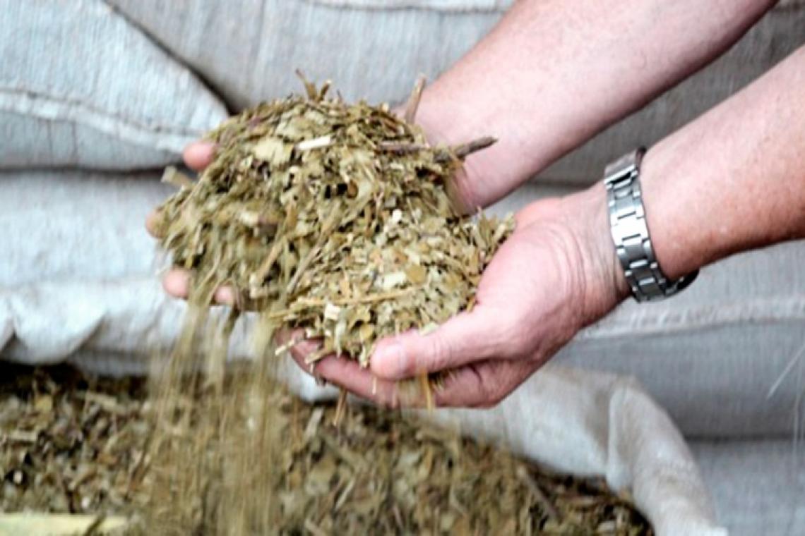 El gobierno de Misiones destacó el nuevo precio de la yerba fijado por Nación