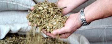 El gobierno de Misiones destacó el nuevo precio de la yerba fijado por Nación
