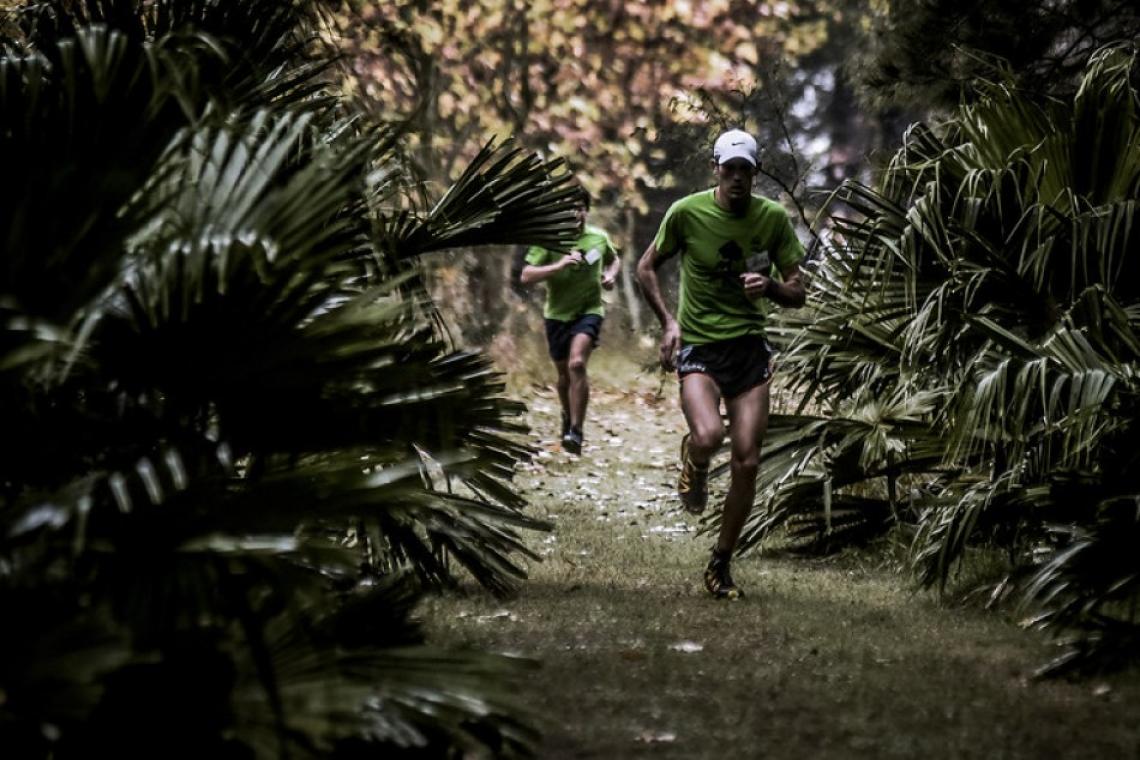 Se viene la sexta edición del Maratón del Bosque