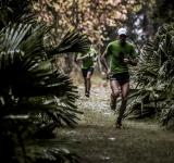 Se viene la sexta edición del Maratón del Bosque
