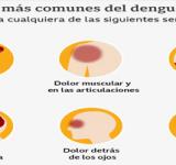 Afirman que Argentina “vive brote más grande de dengue” y Rosario “está en la zona más complicada”