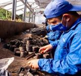 El municipio lanza nuevos cursos sobre jardinería y paisajismo