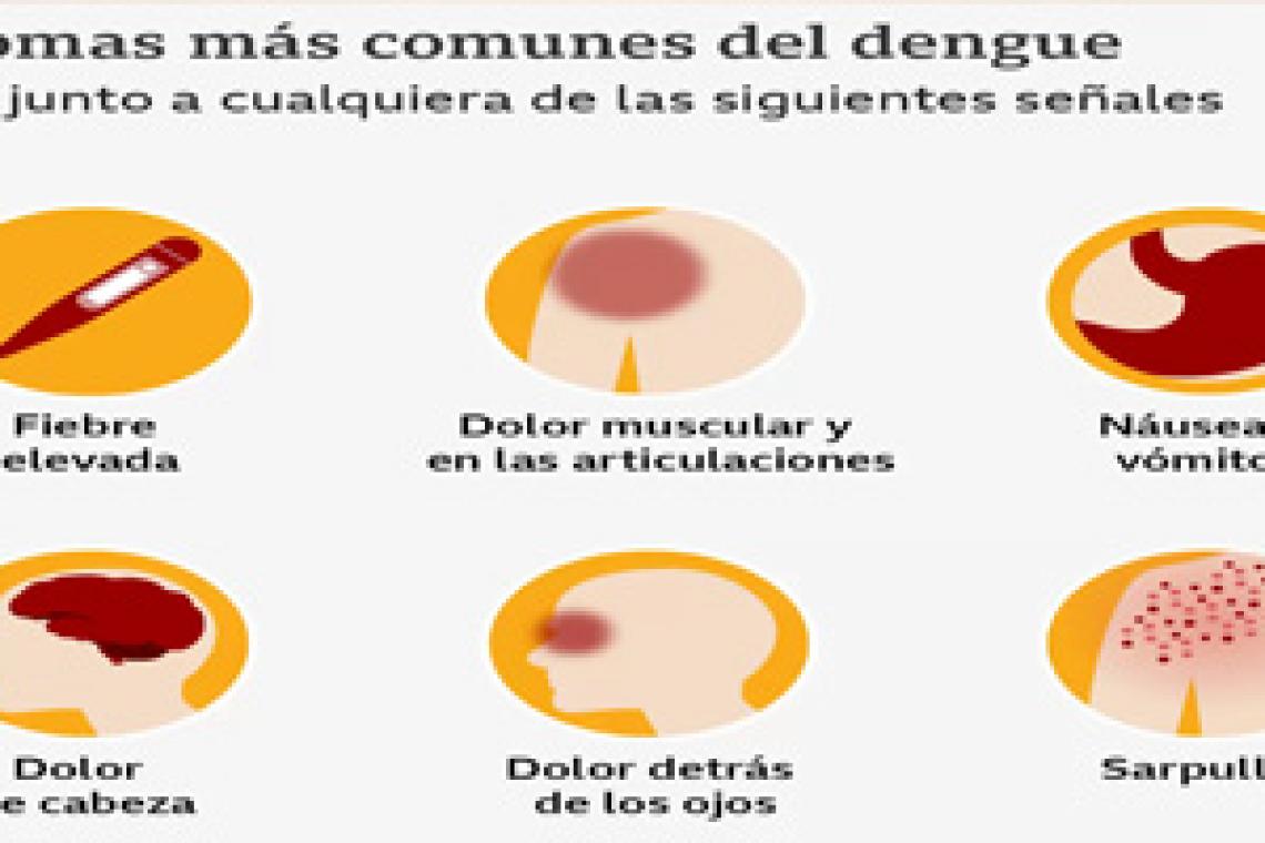 Dengue: «Es importante seguir con las medidas preventivas», dijo Caruana