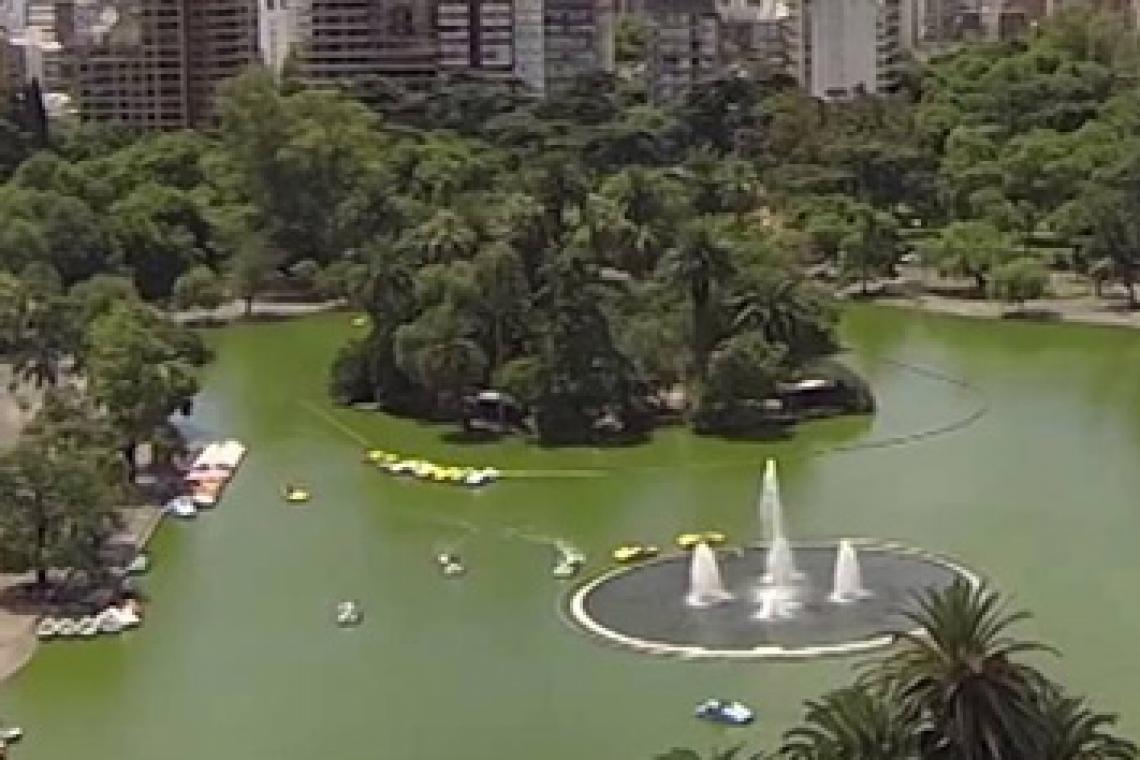 Rosario celebra la Semana del Ambiente con actividades sobre la temática