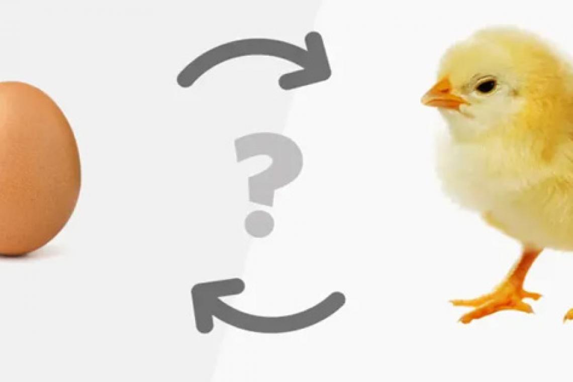 Científicos descifran el enigma sobre el huevo y la gallina