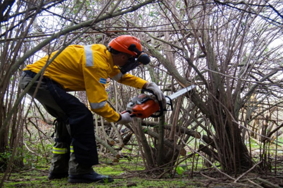 El gobierno de Santa Fe continúa desarrollando acciones para prevenir incendios en islas del sur provincial