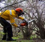 El gobierno de Santa Fe continúa desarrollando acciones para prevenir incendios en islas del sur provincial