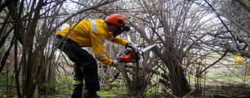 El gobierno de Santa Fe continúa desarrollando acciones para prevenir incendios en islas del sur provincial