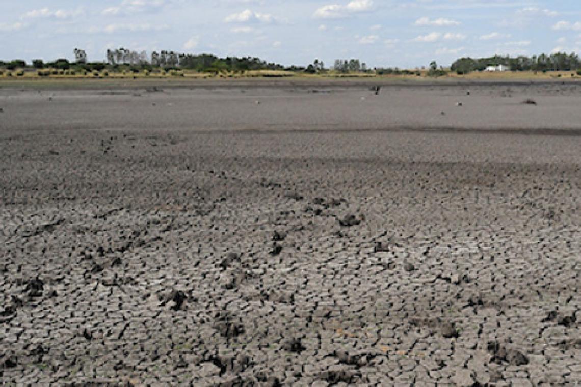 La sequía azota Uruguay