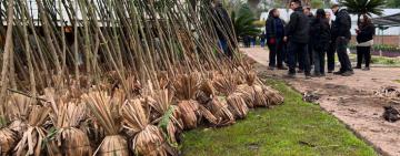 El plan de arborización se consolida con la plantación de 4 mil nuevos árboles