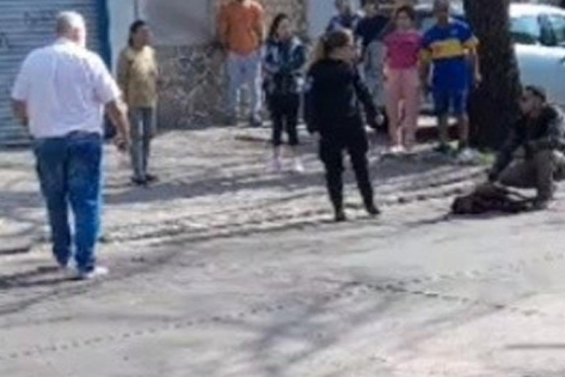 Un pitbull mordió a cinco personas y un policía le dio un balazo en Rosario