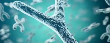 La primera secuencia completa del “extraño” cromosoma Y 