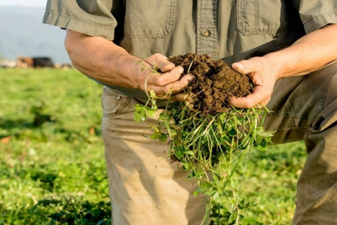 La agroecología, un camino hacia la agricultura sustentable